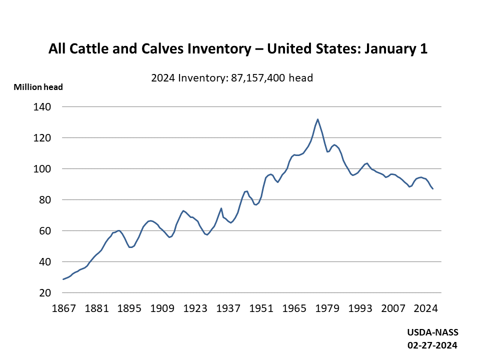 U.S. cattle and calf inventory over time