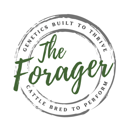 The Forager